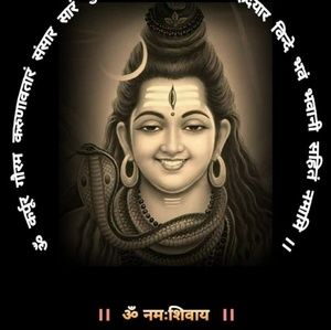 Meet your Posher, Vaishali